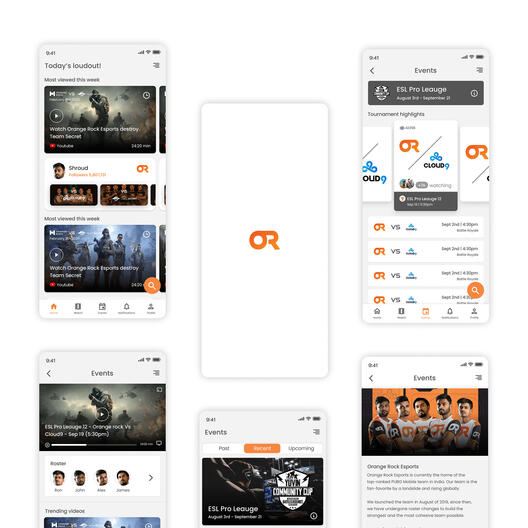 Esports fan application